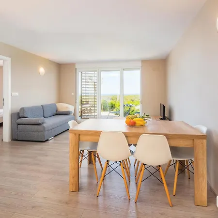 Pet Friendly In With Kitchen Apartment Povljana